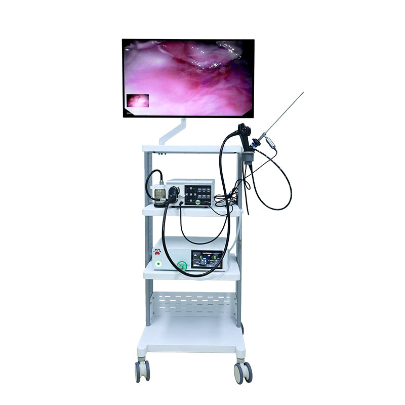 Veterinary Flexible and Rigid Endoscope Solution