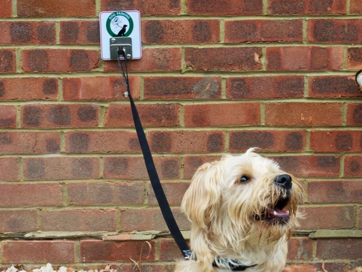 Smart Dog Parking Facility