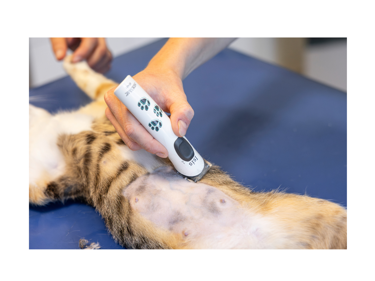 Aesculap Battery-operated Trimmer Isis