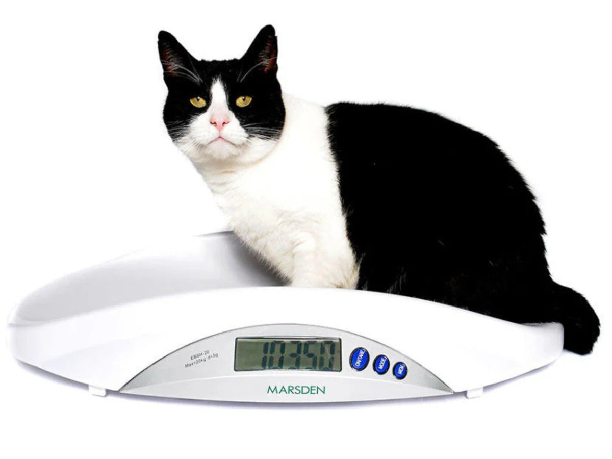 V-22 Veterinary Scales