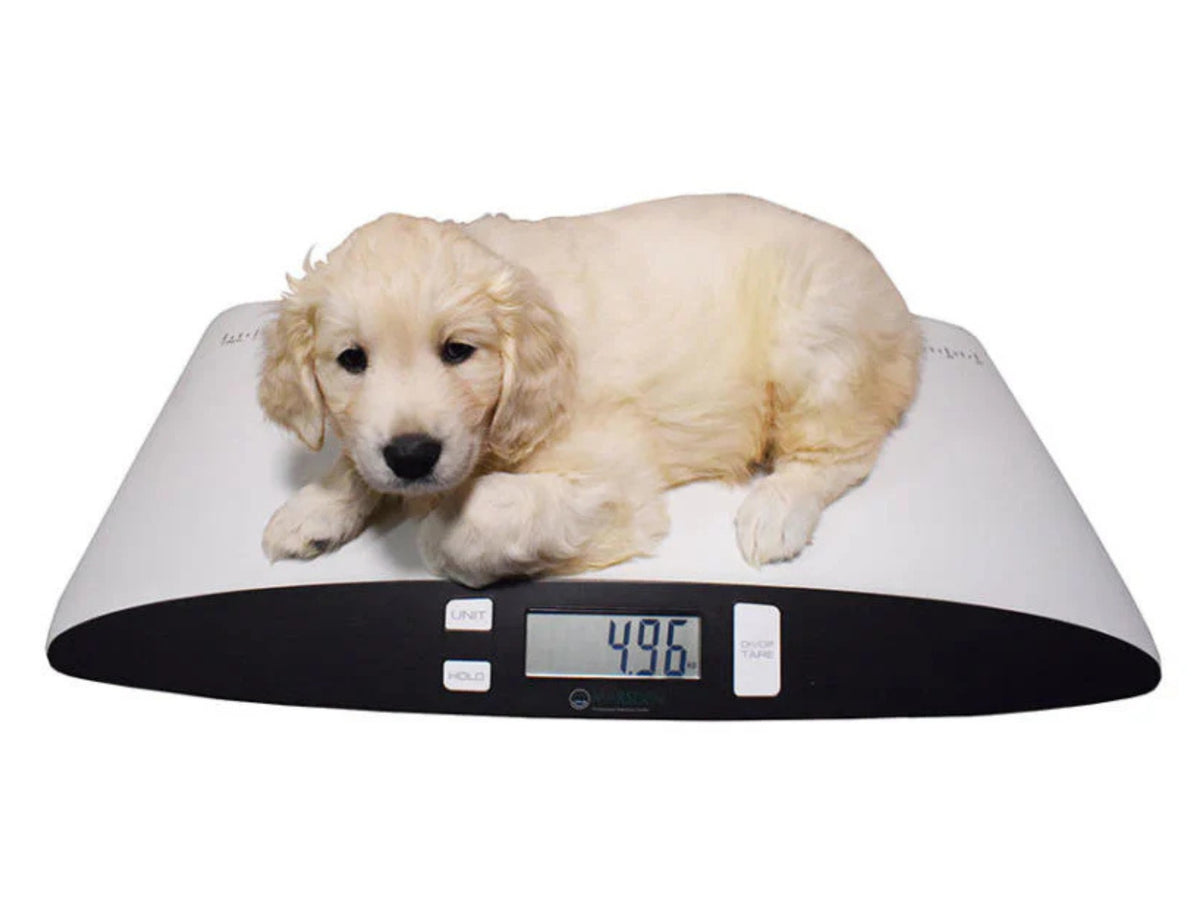 V-25 Small Pet Scale