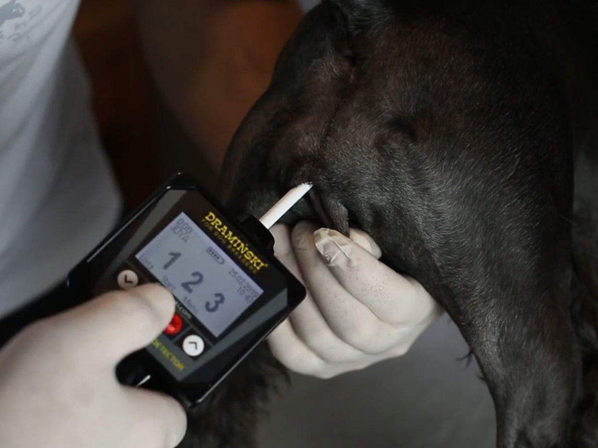 Draminski DOD2 Dog Ovulation Detector