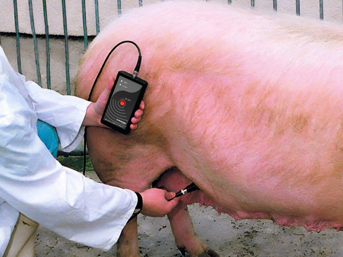 Draminski PDP Ultrasonic Pregnancy Detector for Pigs