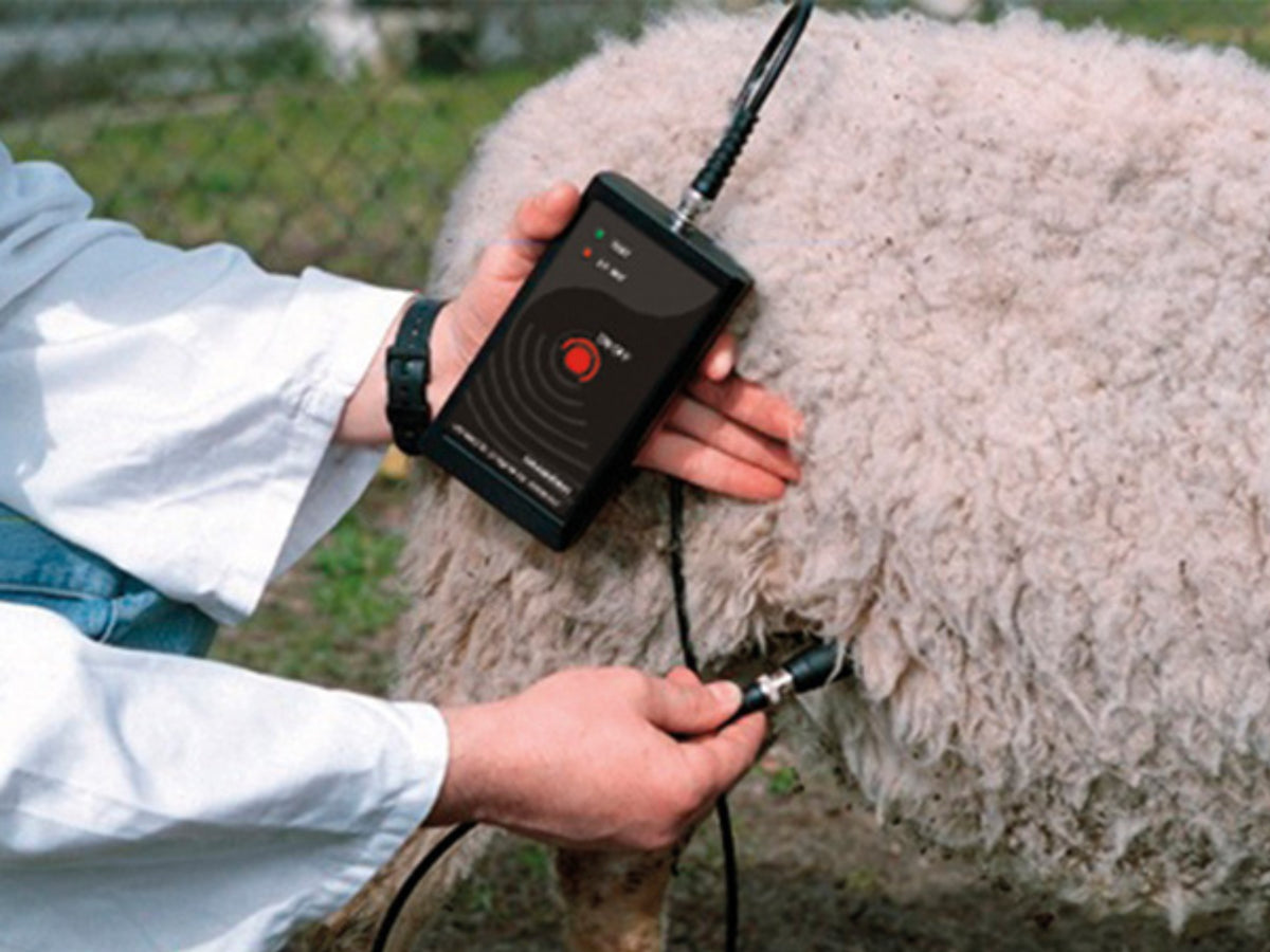 Draminski PDS Ultrasonic Pregnancy Detector for Sheep & Goats