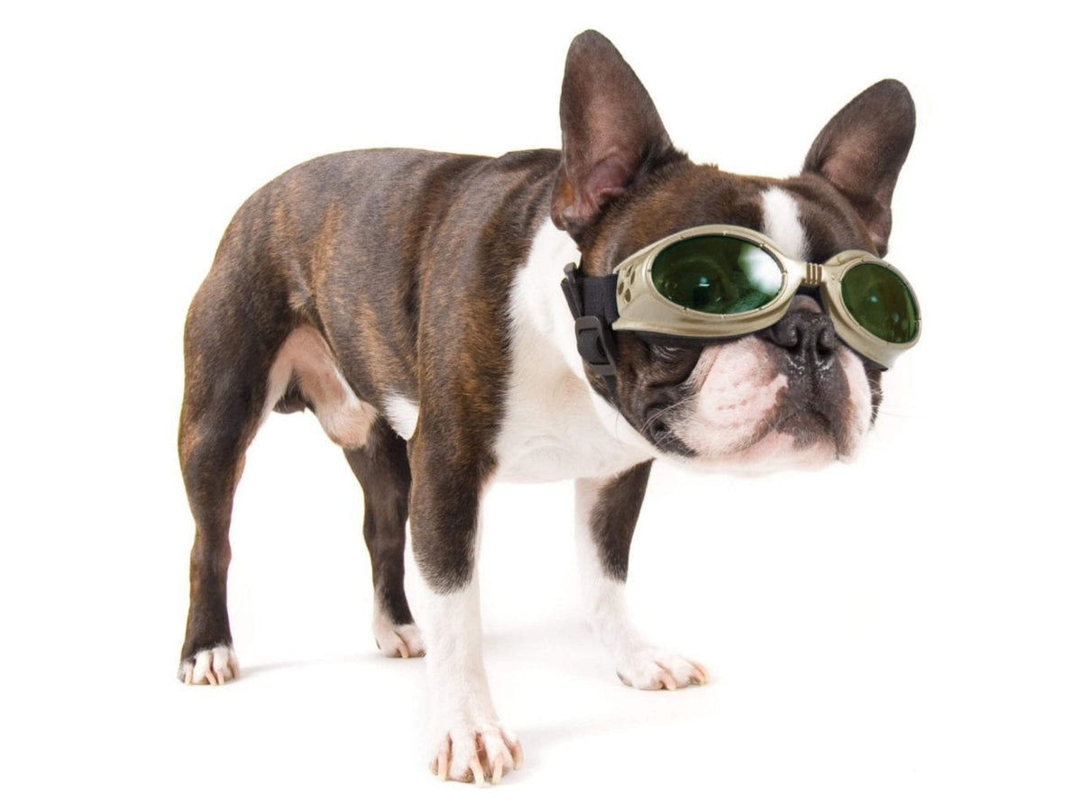 Laser Safety Doggles Kit