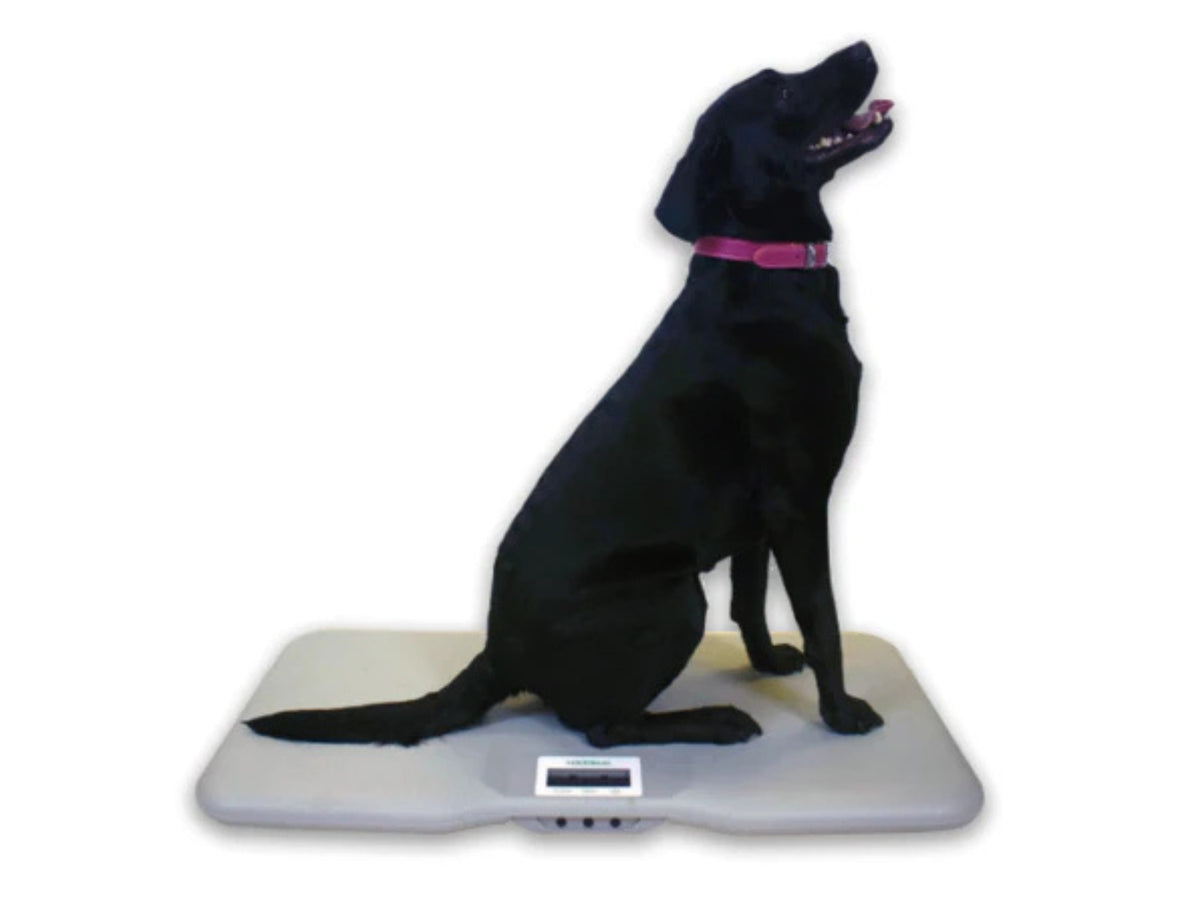 V-110 Small Pet Scales