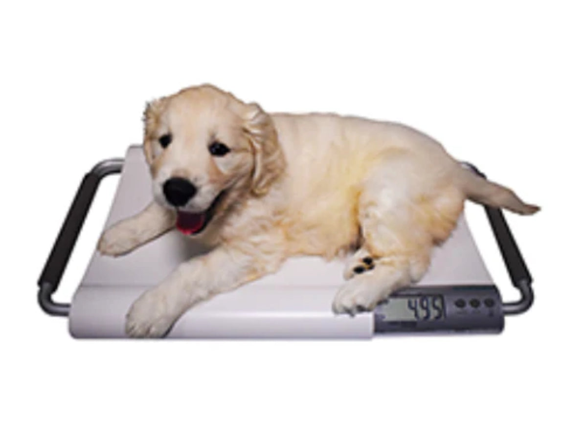V-20 Small Pet Scales