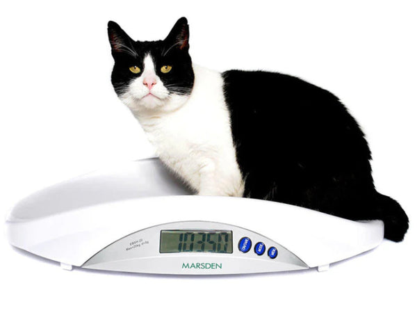 V-22 Veterinary Scales - Photon Surgical Systems Ltd
