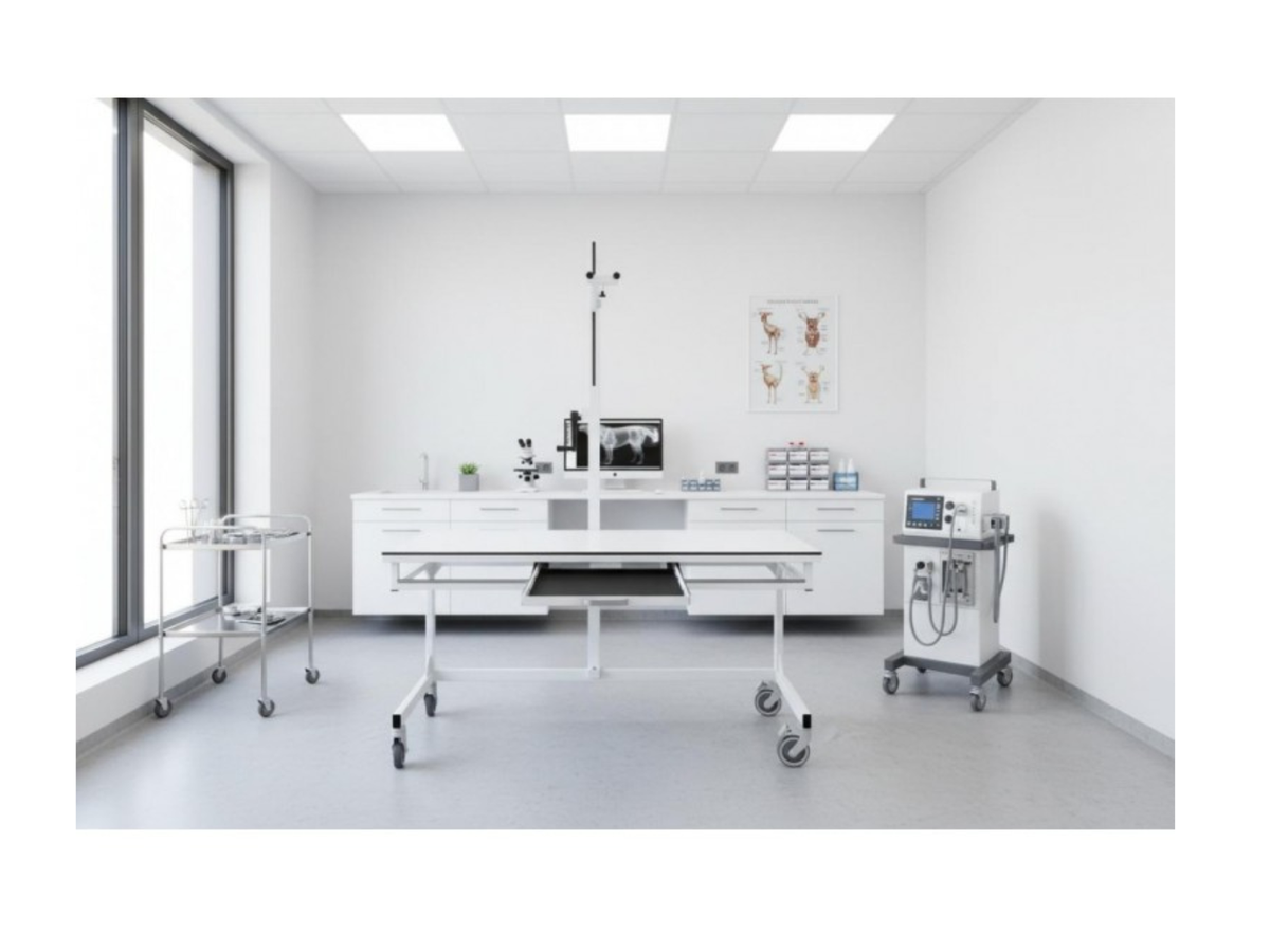JVet DR XR Slide 3 X-ray Table