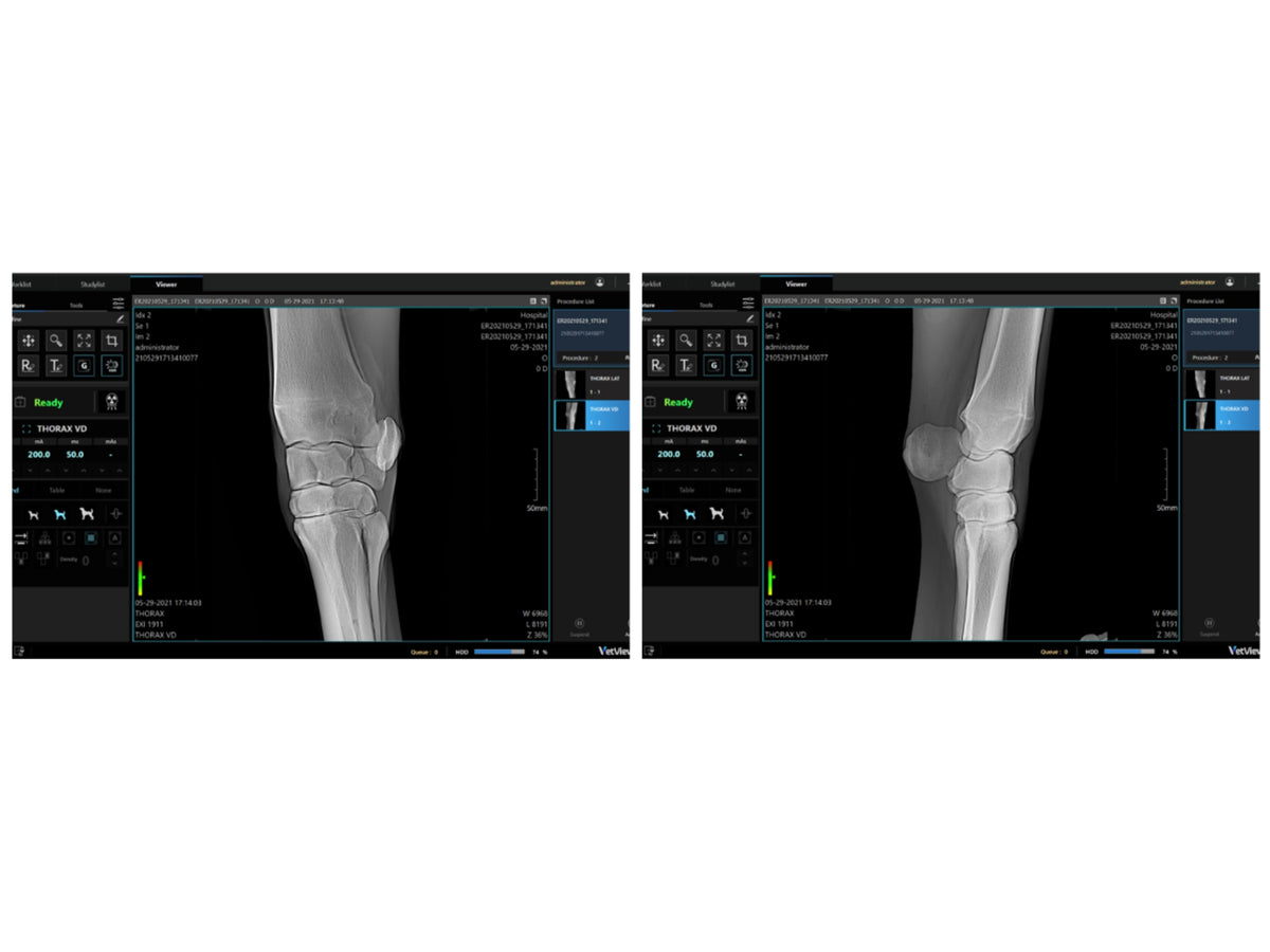 Ultra VetView DR X-ray System