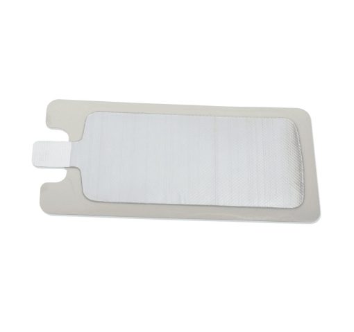 - Adult Solid Disposable Plate