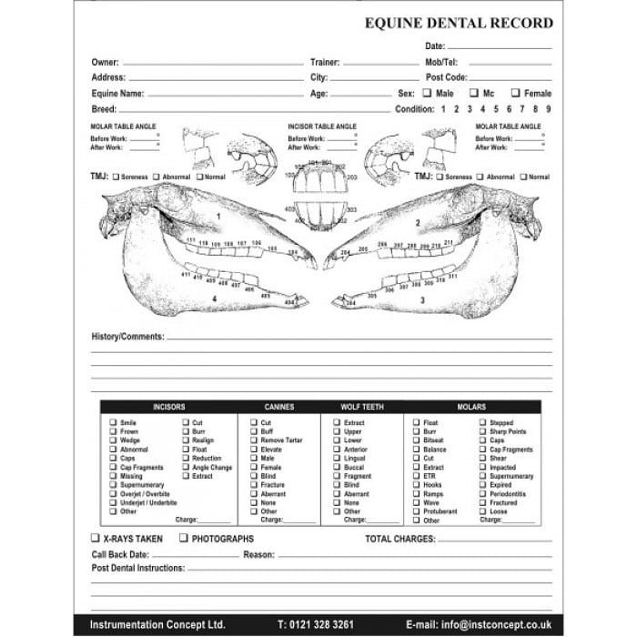 equine-dental-charts-photon-surgical-systems-ltd