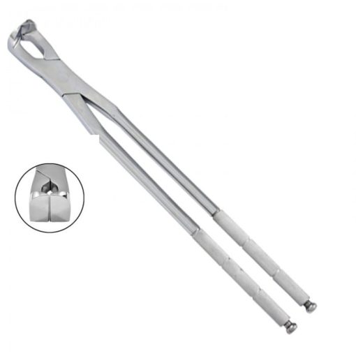 - Simple Molar Spreader