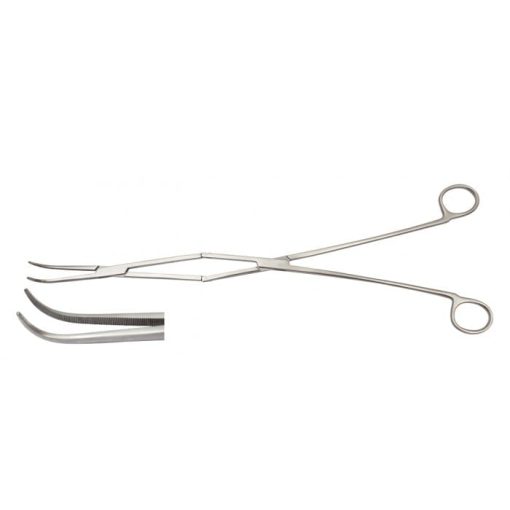 - equine periodontal forceps