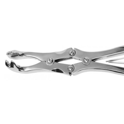 - four prong compound forceps serrated jaws equine dentistry