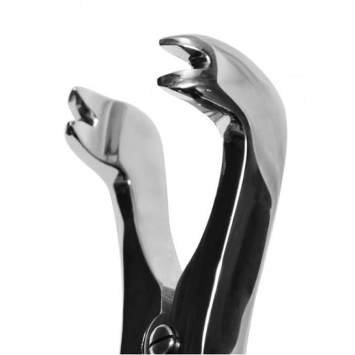 - four prong premolar equine dental forceps