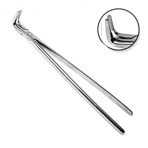 - long nose forcep