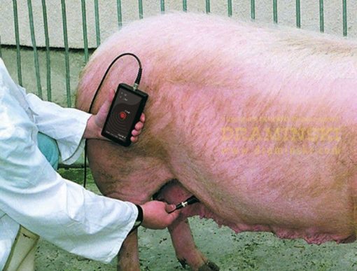 - Draminski Pig Pregnancy Detector