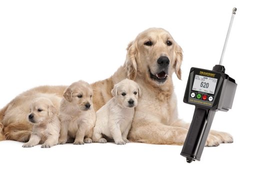 - new dog ovulation detector draminski dod2