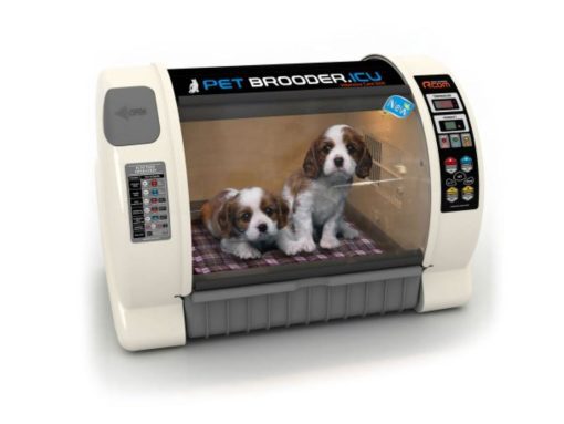 Curadle Pet Brooder ICU Max - Capture5