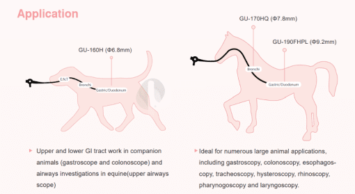 - TK Vet GU Series Gastroscope Application