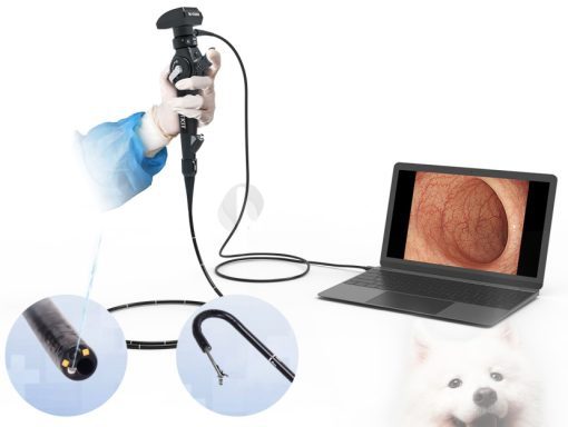 EU Series Veterinary HD USB Bronchoscope - Image 6