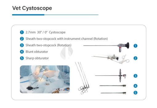 Veterinary Rigid Cystoscope Endoscope Set - Male - Image 2